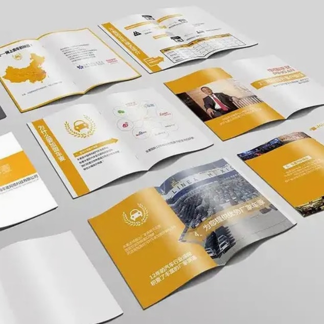 Paper Used For Advertising Brochures detail (1)
